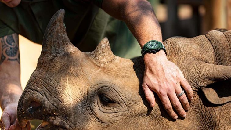 Hublot bao ve te giac - care for the wild - elle man 3