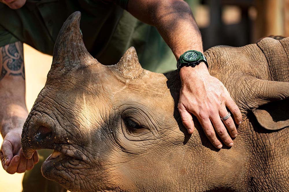 Hublot bao ve te giac - care for the wild - elle man 3