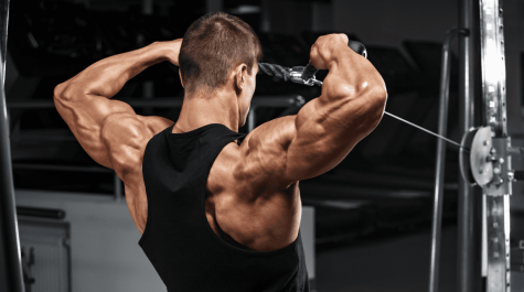 tập gym, cơ vai