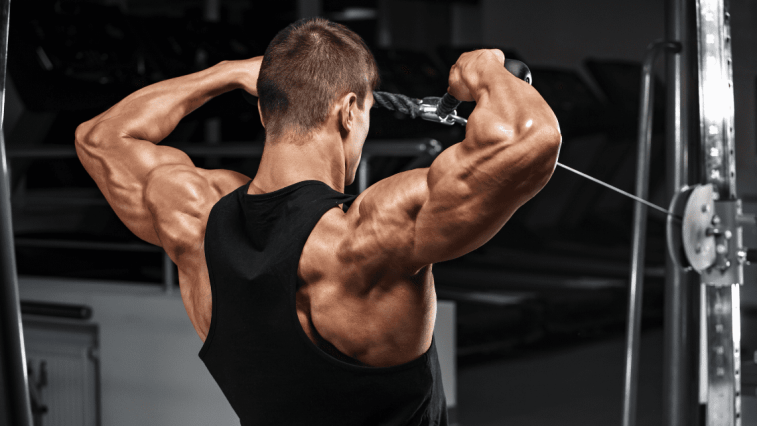 tập gym, cơ vai