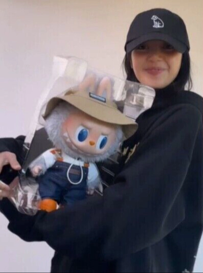 Labubu, art toy, Lisa BLACKPINK