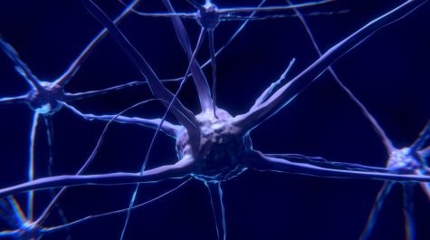 8 tips giúp bạn cải thiện trí nhớ một cách tự nhiên