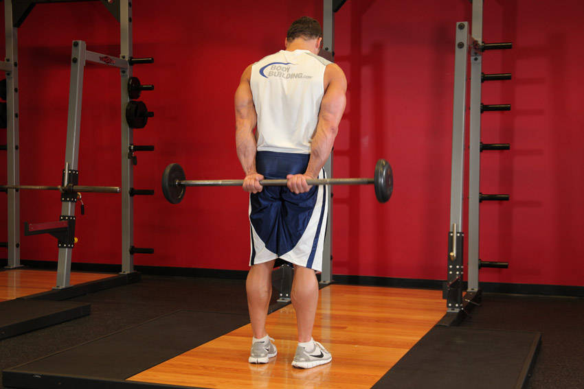 tập gym
