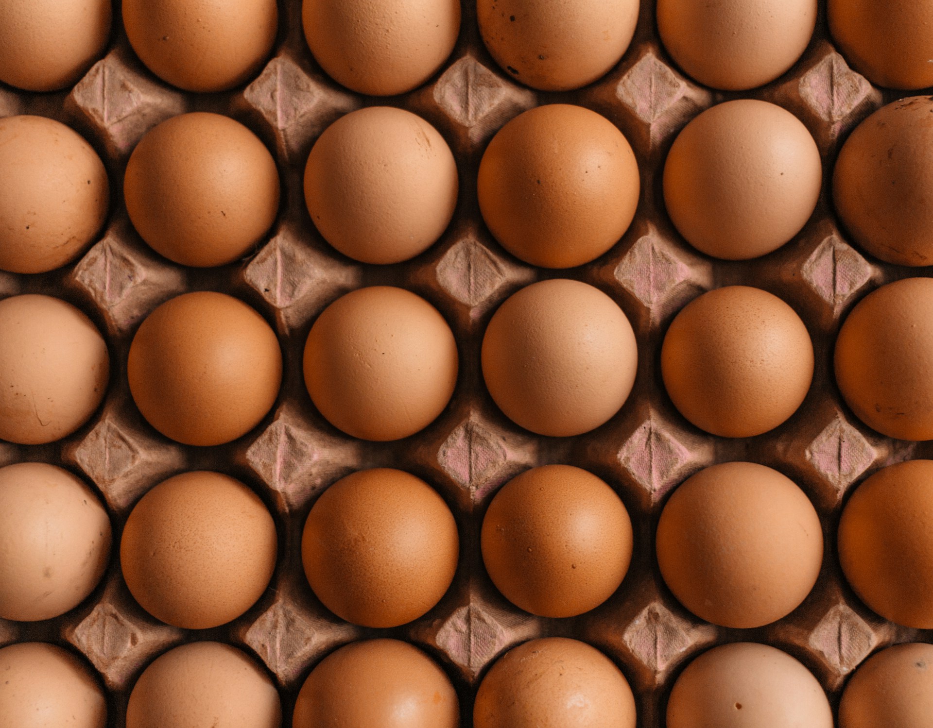 protein