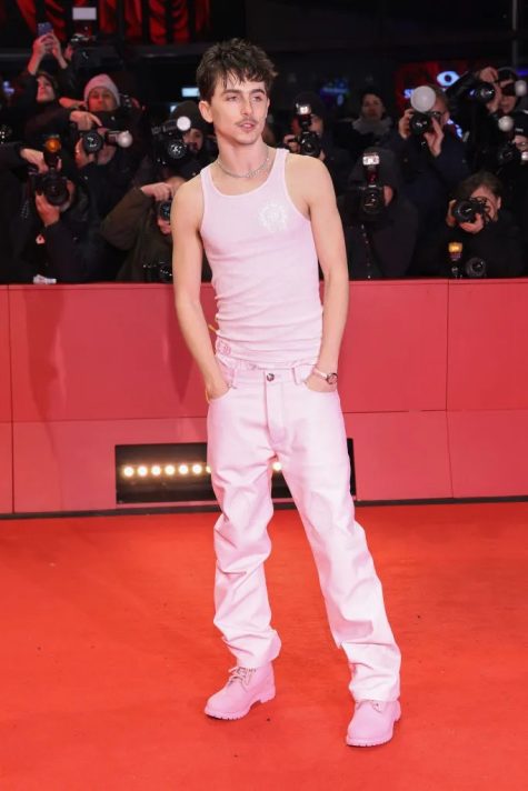 Timothée Chalamet