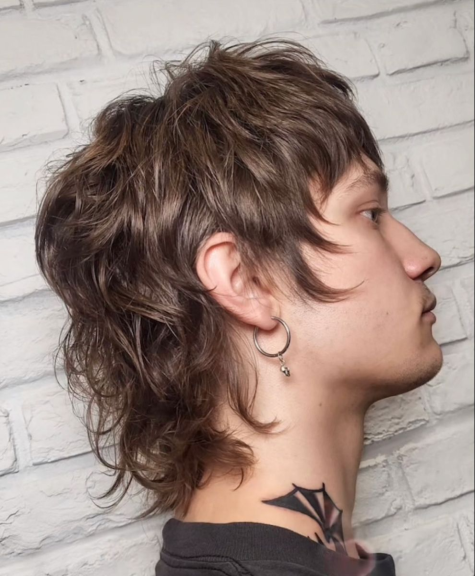 mullet