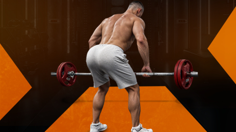 tập barbell row