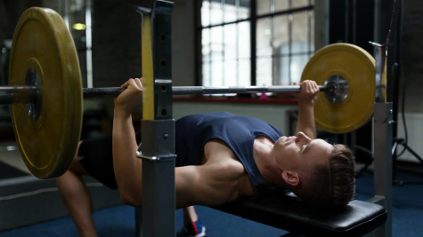 tập gym bench press