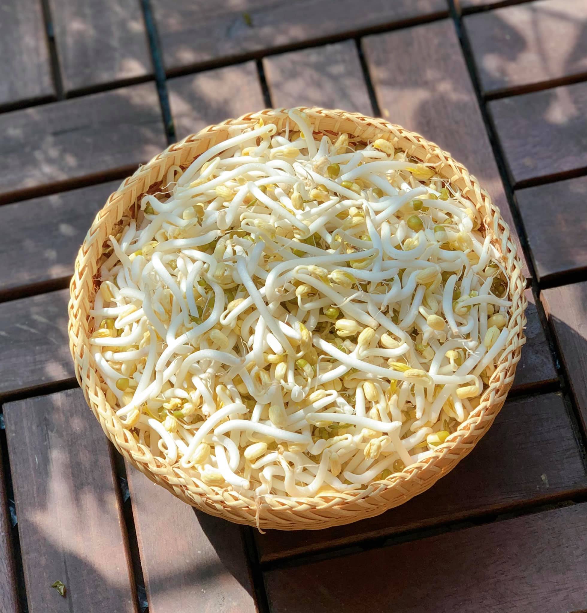 Giá đỗ bình dân nhưng rất tốt cho sức khỏe nam giới