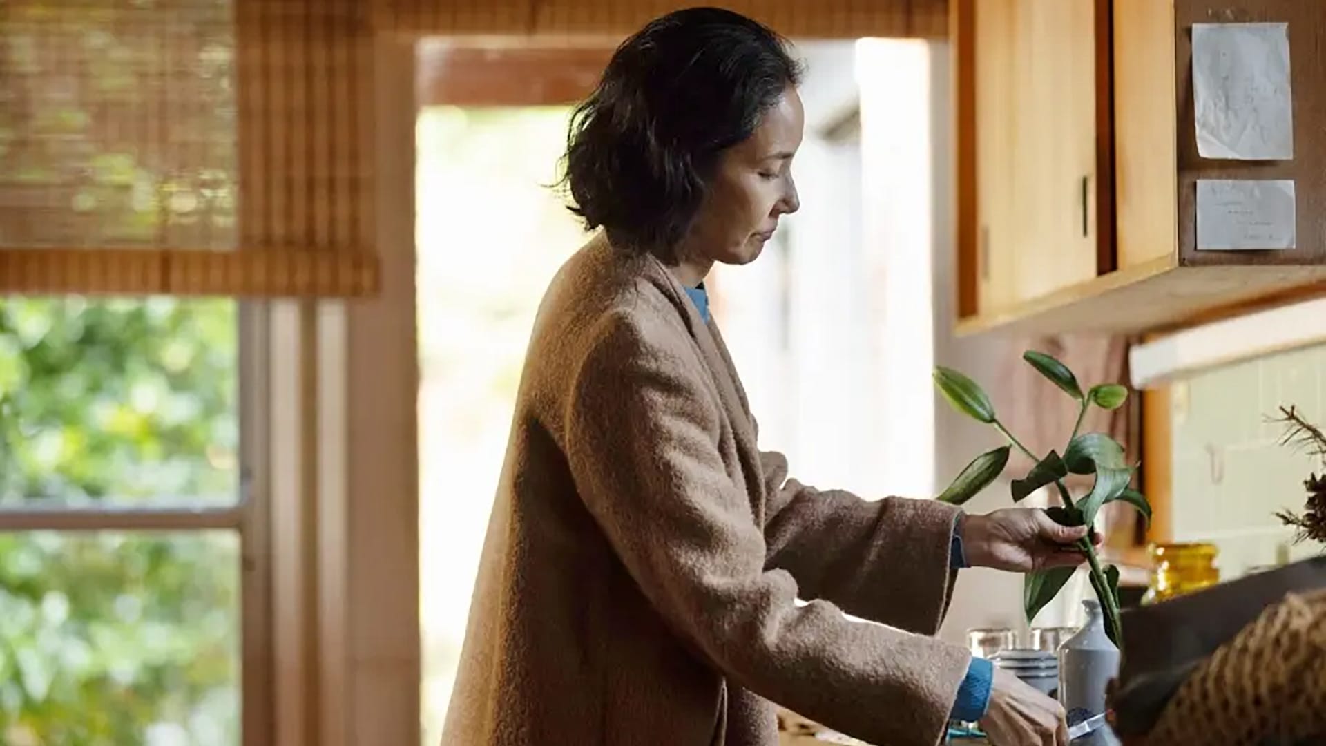 cảnh đồi mờ xám