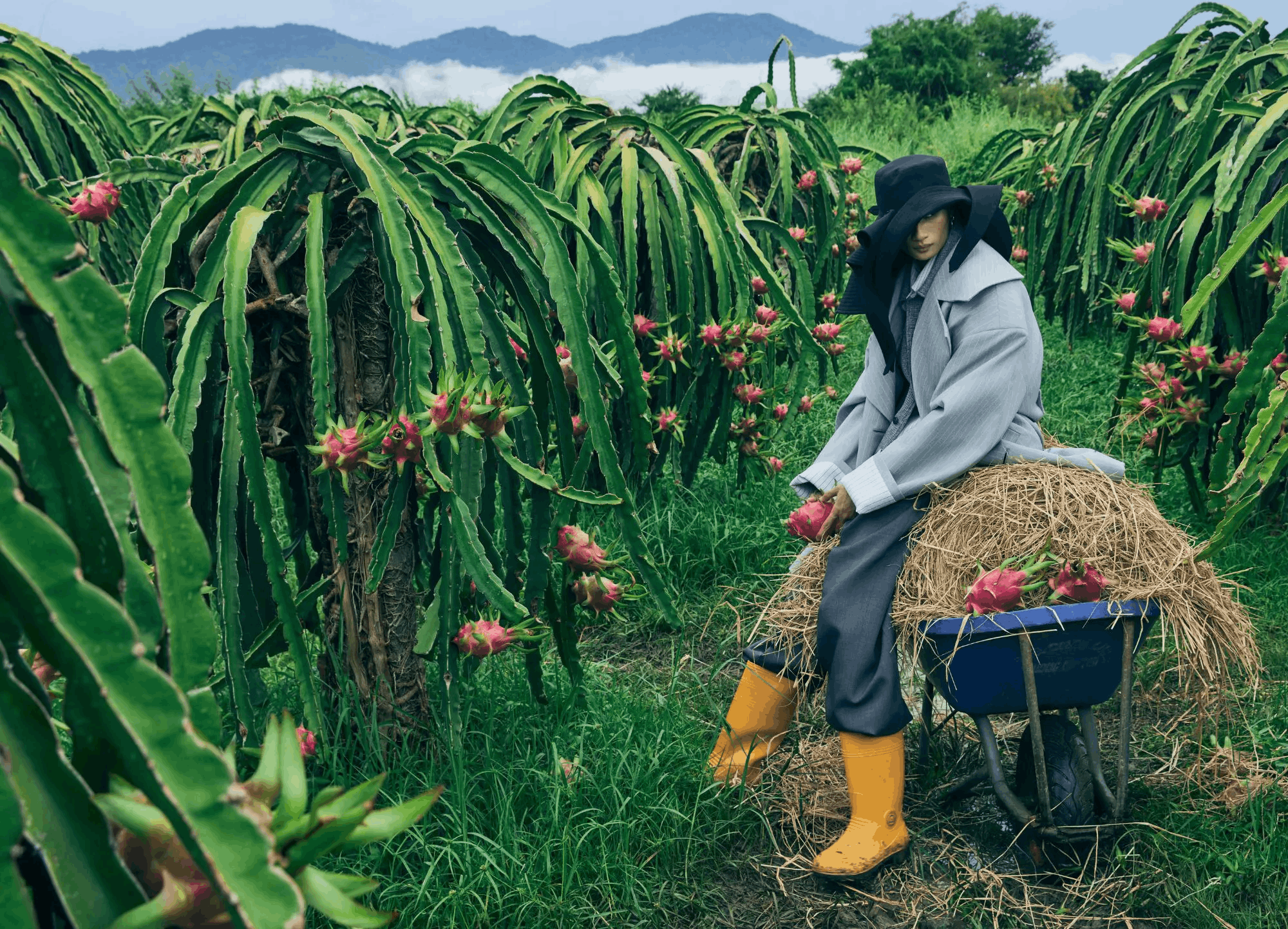 phong cách kẻ sọc