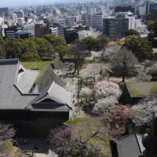 Kinh nghiệm du lịch Nhật Bản ở Fukuoka