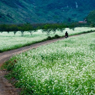 6 điểm du lịch phượt thú vị cho mùa thu