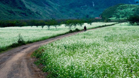 6 điểm du lịch phượt thú vị cho mùa thu