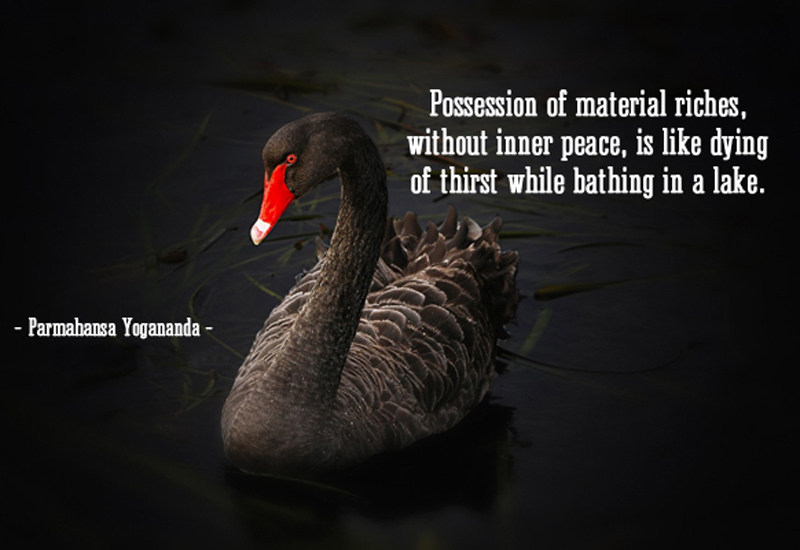 trải nghiệm cuộc sống - elleman 4