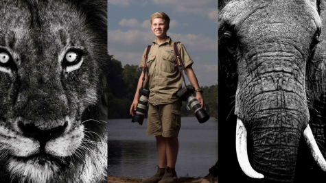 Ảnh động vật đẹp qua ống kính của con trai Steve Irwin