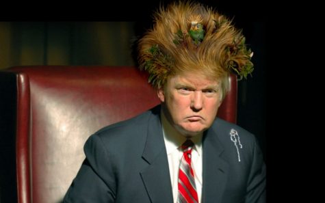Và chính trị trở thành...sân khấu hài kịch của Donald Trump?