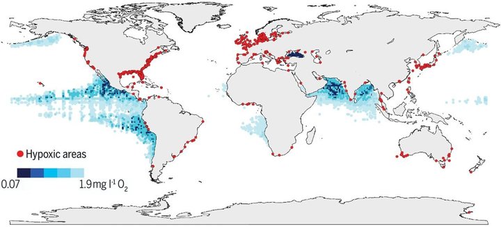 Những mảng màu xanh và chấm màu đỏ biểu thị vùng chết ''Dead Zone'' ngày càng mở rộng diện tích trên toàn thế giới