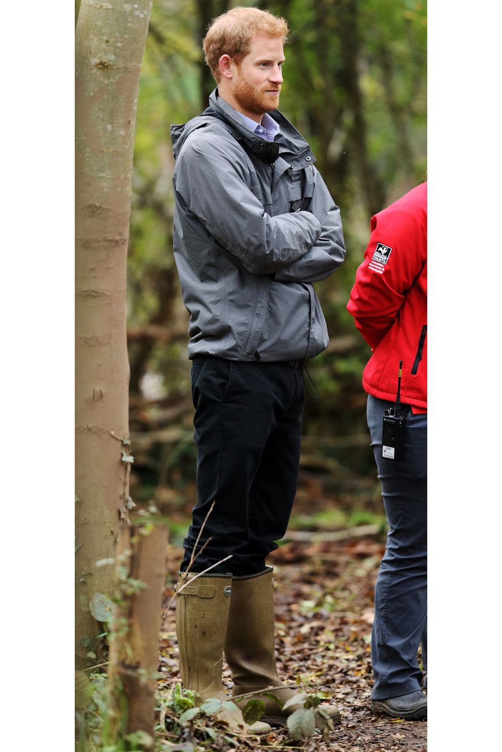 hoàng tử harry elleman 8