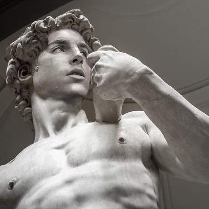 timothée chalamet - elle man2