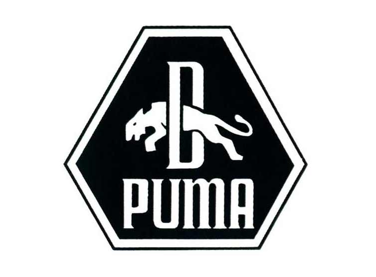 logo thuong hieu puma - elle man 4