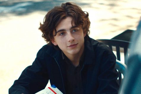 Timothee Chalamet - elle man 1