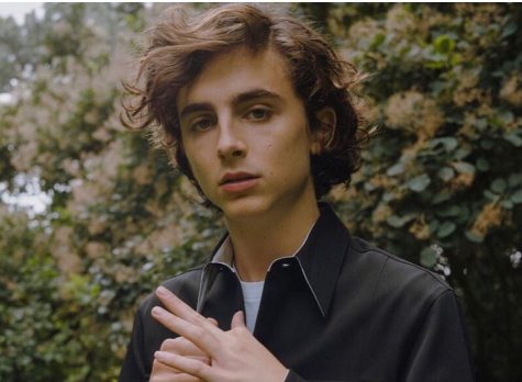 Timothee Chalamet - elle man 2