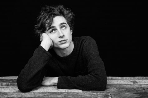 Timothee Chalamet - elle man 3