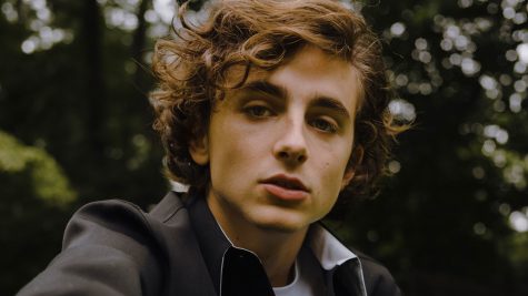 Timothee Chalamet - elle man 5