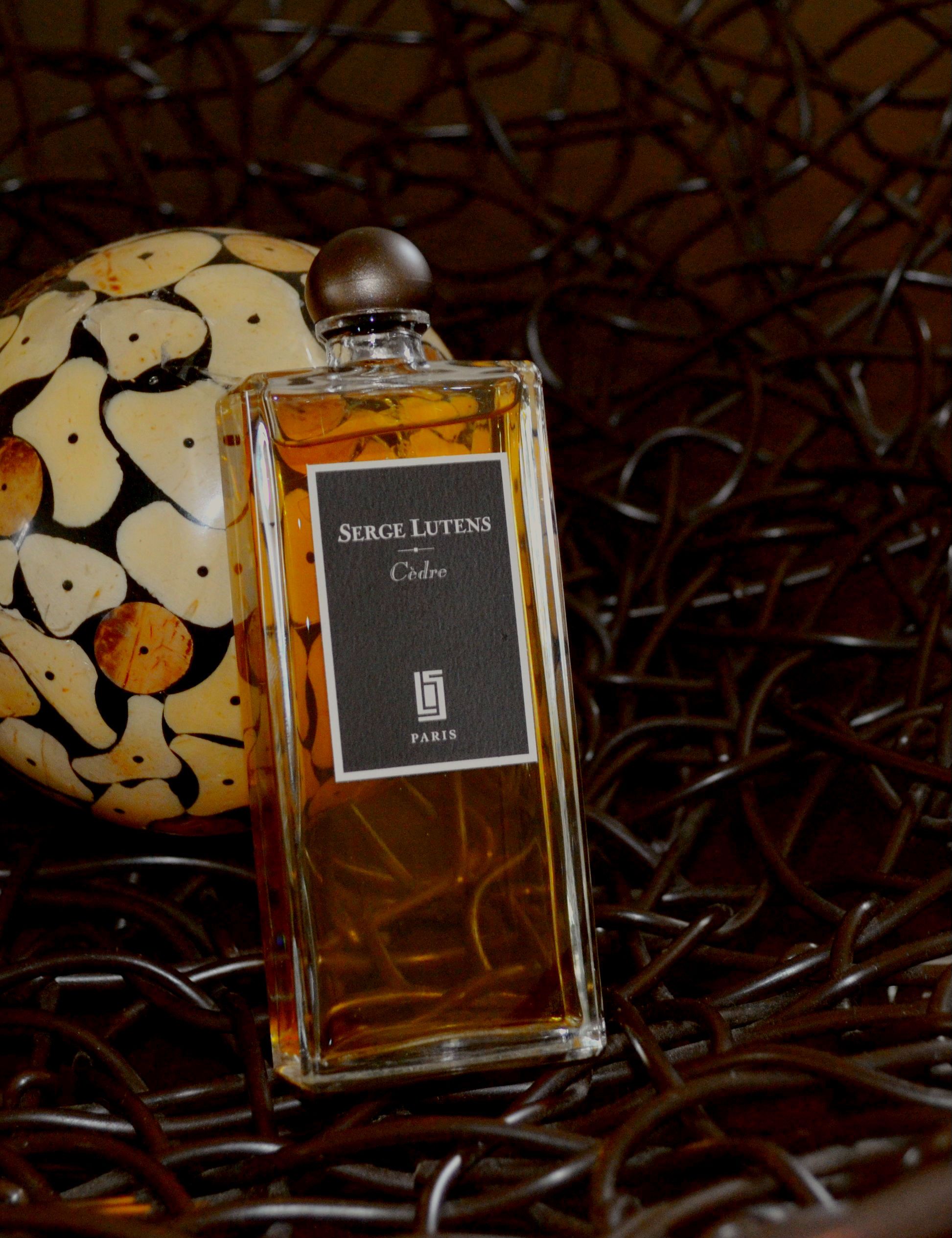 nước hoa nam 4 elle man cedarwood 1