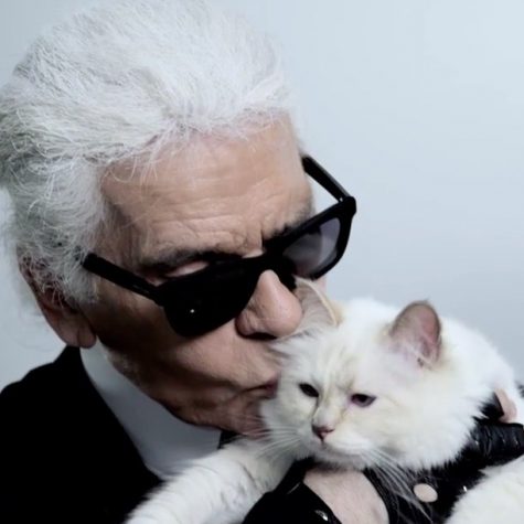 nha thiet karl lagerfeld - elle- man - choupette (1)