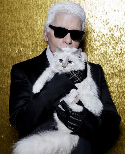 nha thiet ke karl lagerfeld - elle man - choupette (3)