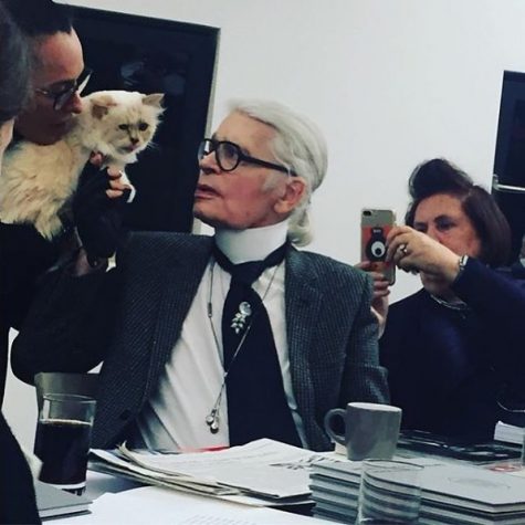 nha thiet ke karl lagerfeld - elle man - choupette (8)