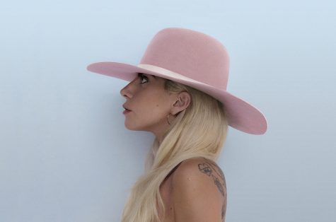 Lady Gaga - elle man 6