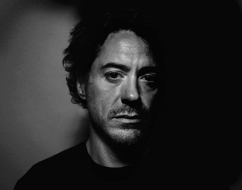 Robert Downey Jr - elle man 2