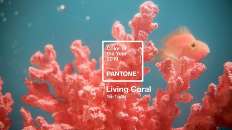 mau living coral elle men 13