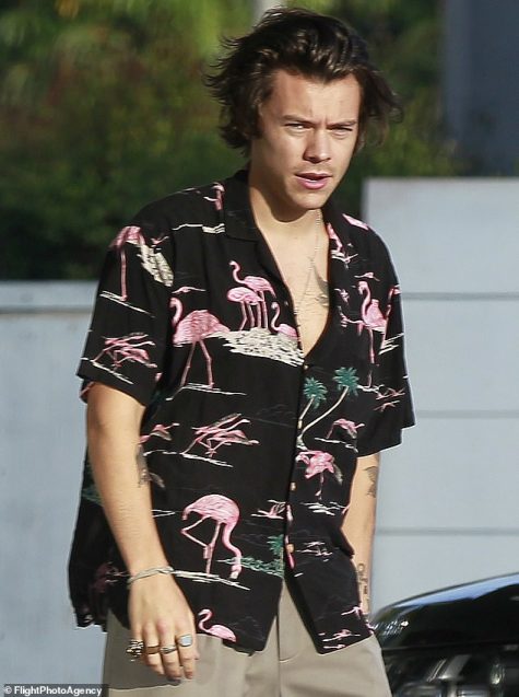 hoa tiet flamingo elle man 000