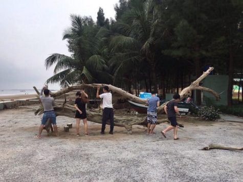 hoàn thành mô hình cá với bụng đầy rác nhựa