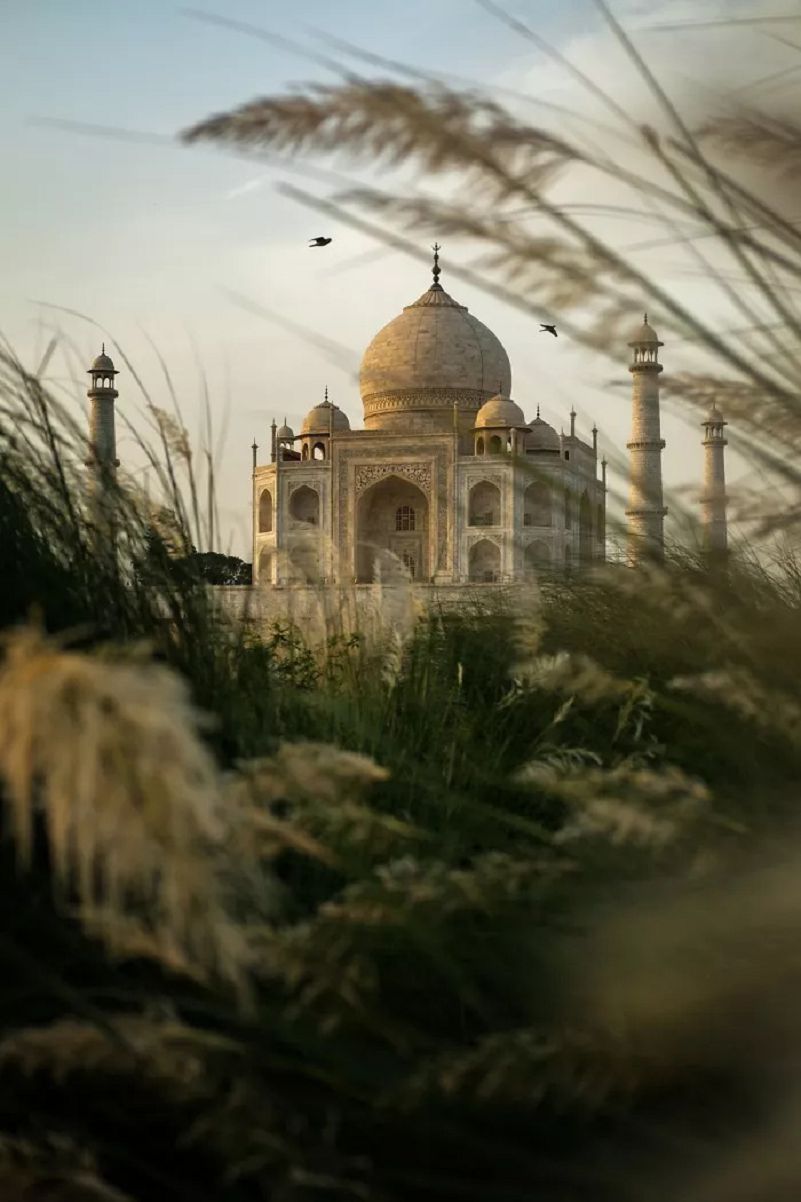 bức ảnh đẹp về đền thờ Taj Mahal Ấn Độ