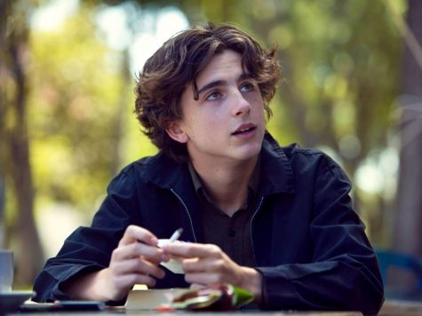 diễn viên Timothée Chalamet trong Lady Bird