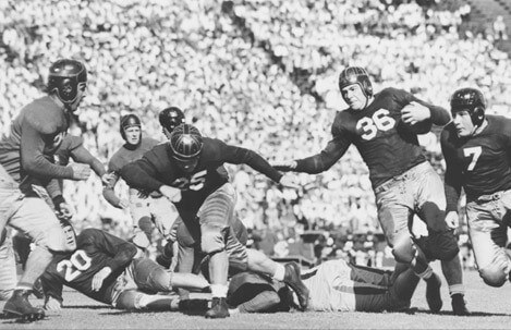 logo thương hiệu champion cùng đội tuyển bóng đá nba