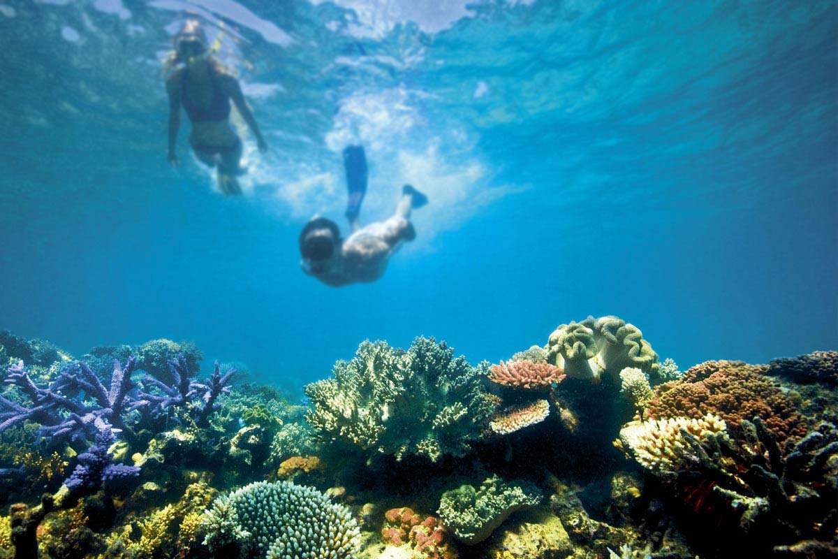 du lịch biển-great barrier reef