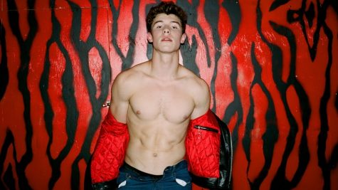 ca sĩ Shawn Mendes