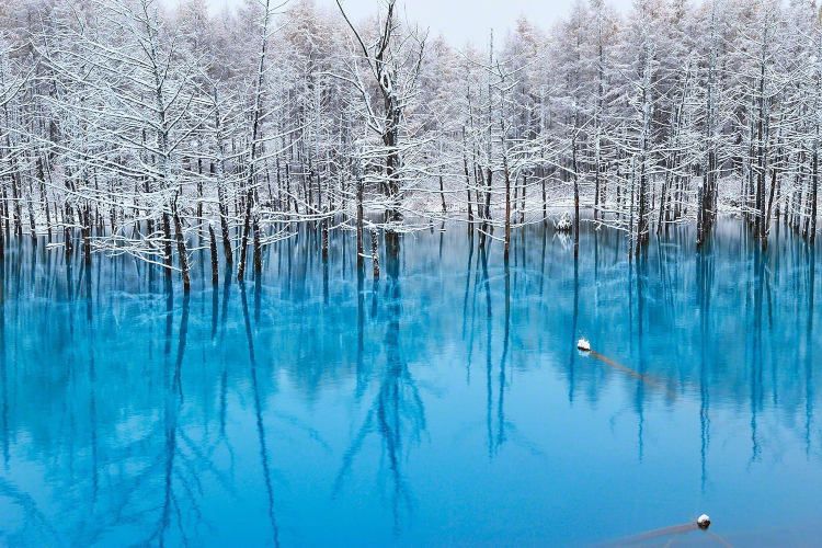 biei blue pond-elle man-1119 