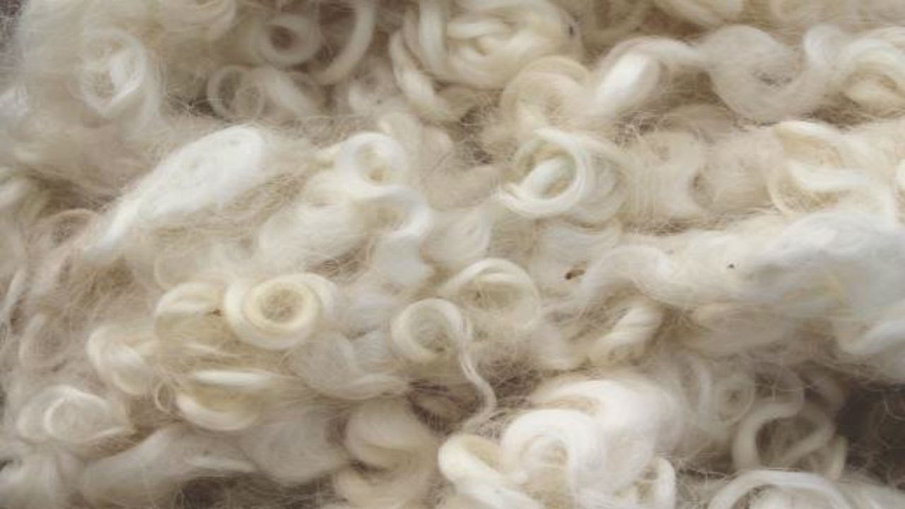 Chất liệu wool