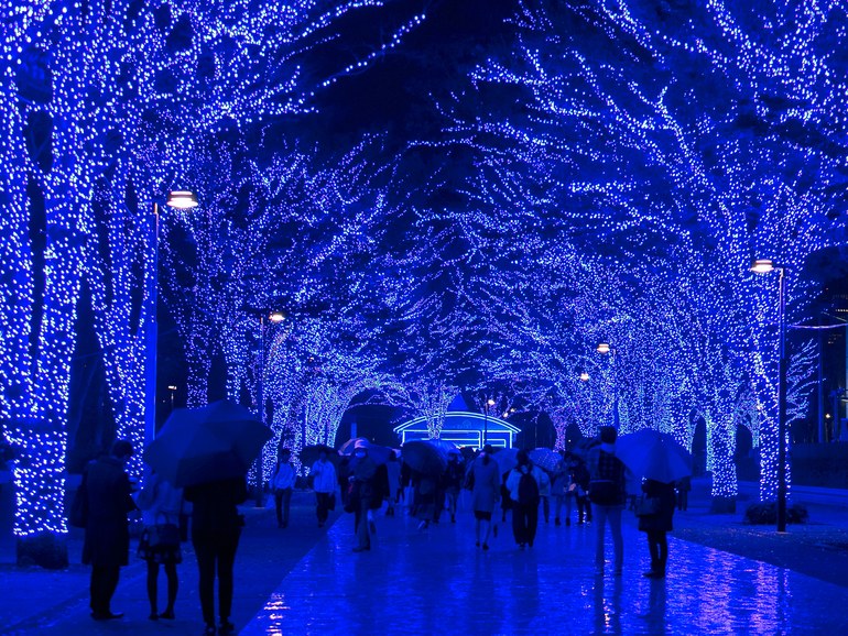 địa điểm du lịch The Blue Cavern ở Tokyo