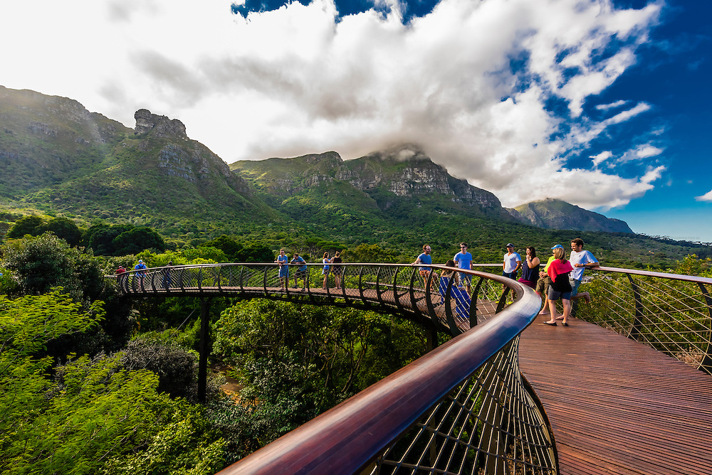 Địa điểm du lịch vườn quốc gia bách thảo Kirstenbosch, Cape Town