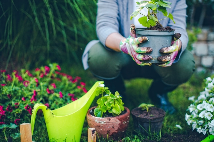 gardening-cuoc song hanh phuc-elleman-1219