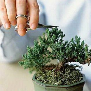 Trắc nghiệm Kokology: Tính cách nào ẩn sâu trong tâm hồn bạn?