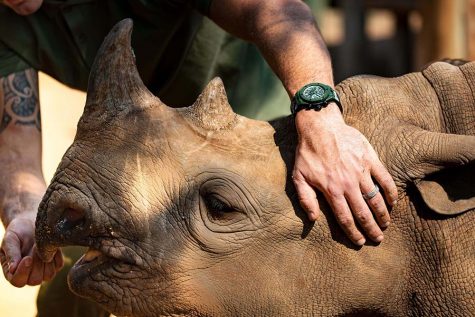 Hublot tiếp tục đồng hành cùng tổ chức bảo vệ tê giác Sorai